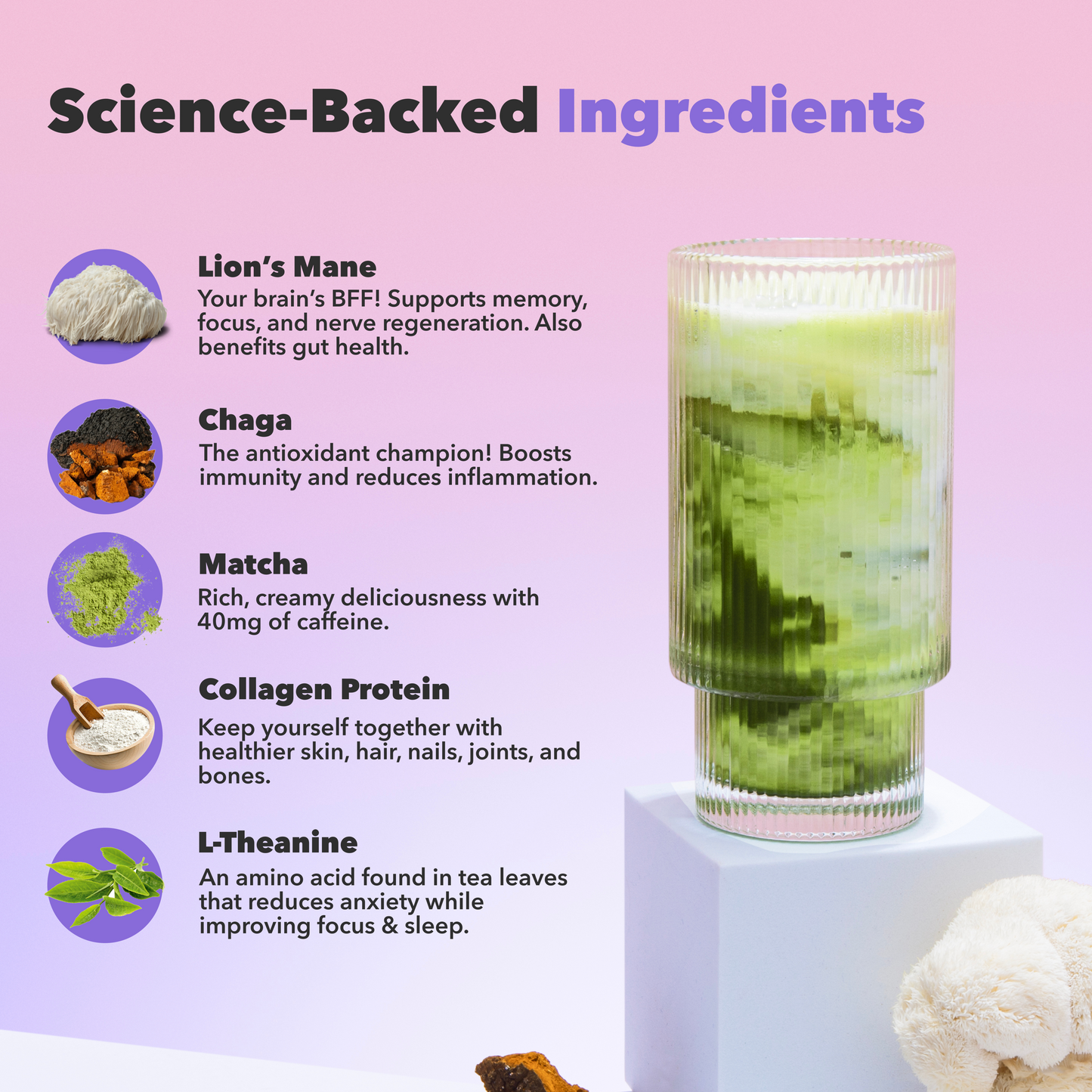 90-servings-matcha-free-starter-kit-c9 custom_resized_386f63f8-0691-449c-9e51-462fed6c0033.png